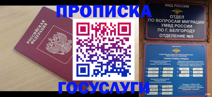 прописка законно в Можайске